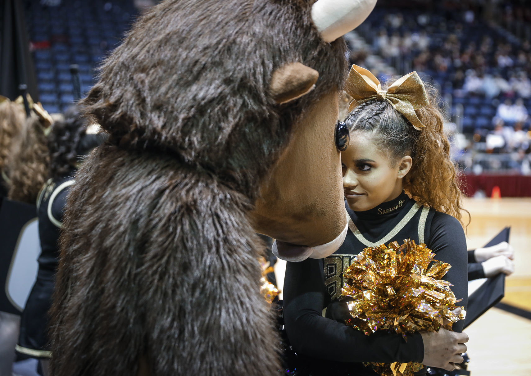State Spirit